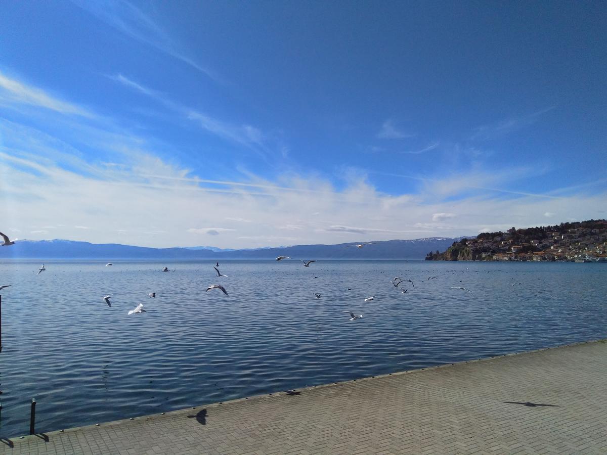 Biljana Lux Apartment Οχρίδα Εξωτερικό φωτογραφία